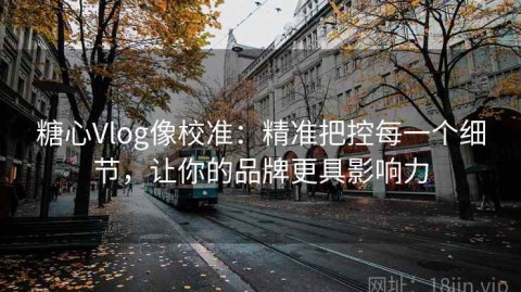 糖心Vlog像校准：精准把控每一个细节，让你的品牌更具影响力