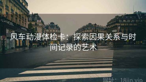 风车动漫体检卡：探索因果关系与时间记录的艺术