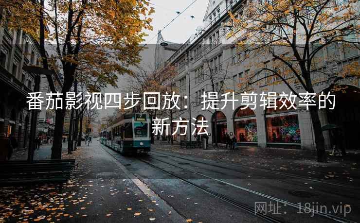 番茄影视四步回放：提升剪辑效率的新方法