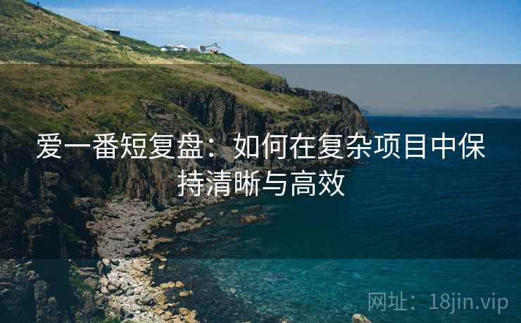 爱一番短复盘：如何在复杂项目中保持清晰与高效