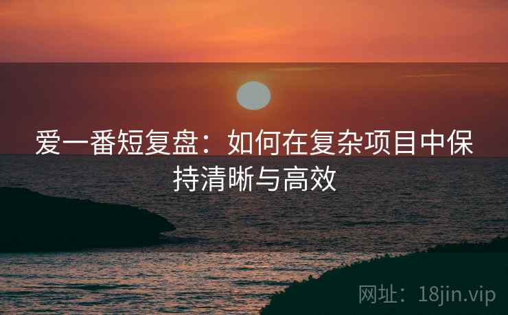 爱一番短复盘：如何在复杂项目中保持清晰与高效