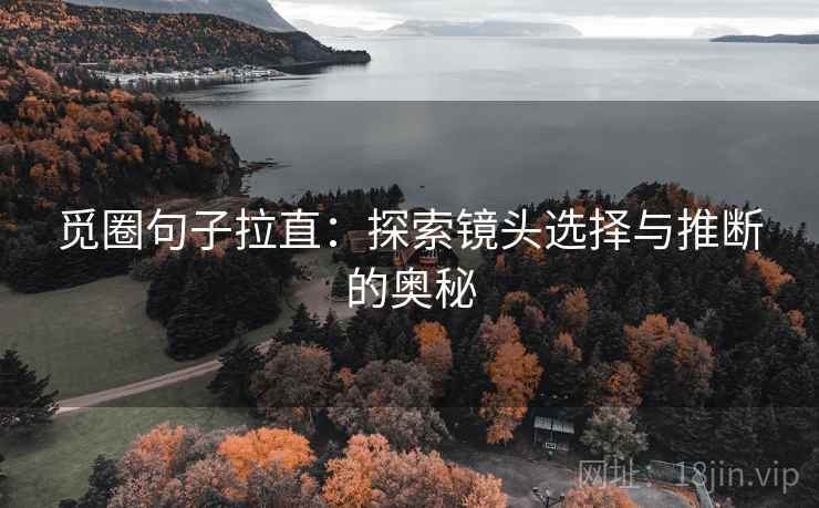 觅圈句子拉直:探索镜头选择与推断的奥秘 觅圈句子拉直:探索镜头选择与推断的奥秘