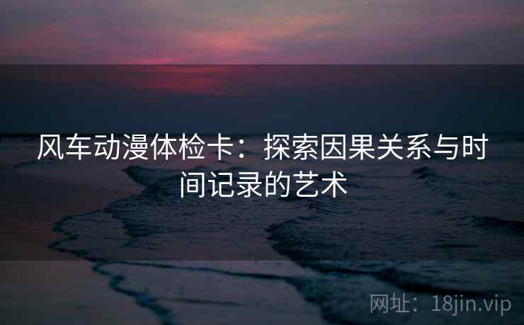 风车动漫体检卡:探索因果关系与时间记录的艺术 风车动漫体检卡:探索因果关系与时间记录的艺术