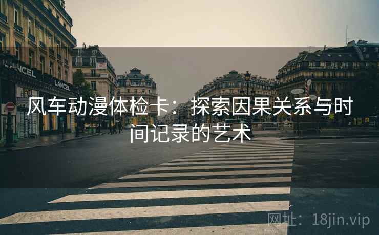 风车动漫体检卡:探索因果关系与时间记录的艺术 风车动漫体检卡:探索因果关系与时间记录的艺术