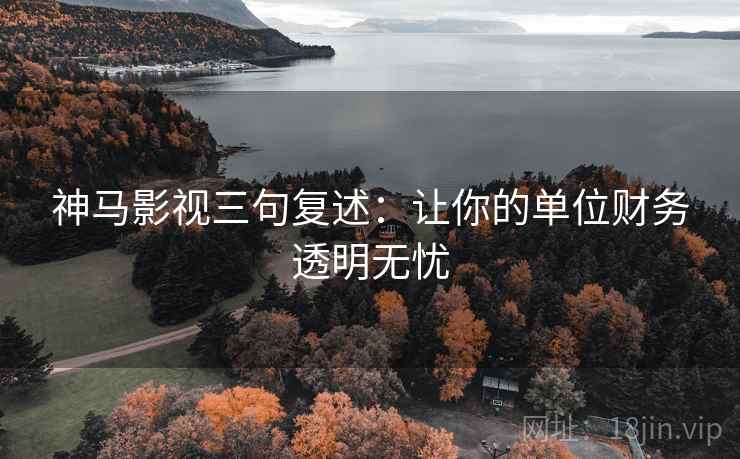 神马影视三句复述：让你的单位财务透明无忧