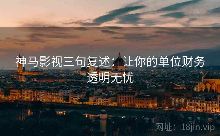 神马影视三句复述：让你的单位财务透明无忧